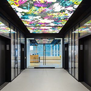 MGI Image