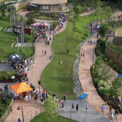 Brew at the Zoo website design project thumbnail by Interactive Blend