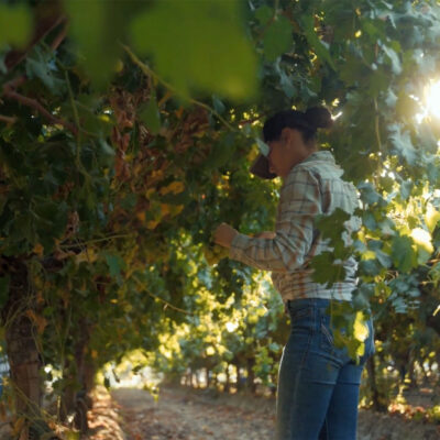 Farmers Gate agricultural investment website design