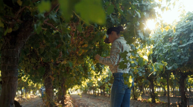 Farmers Gate website design project thumbnail by Interactive Blend